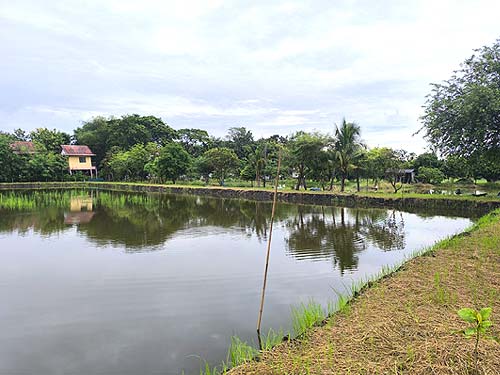 Fourth image